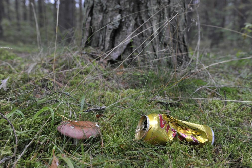 Pieci bīstamākie atkritumu veidi, ko cilvēki atstāj mežos