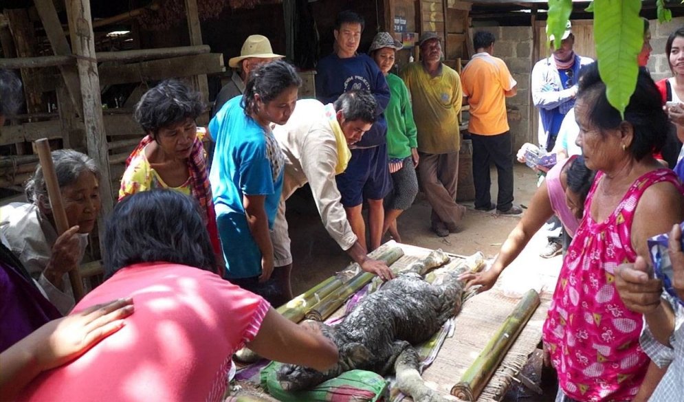 Taizemē atrasts monstrs – pa pusei bifelis, pa pusei krokodils