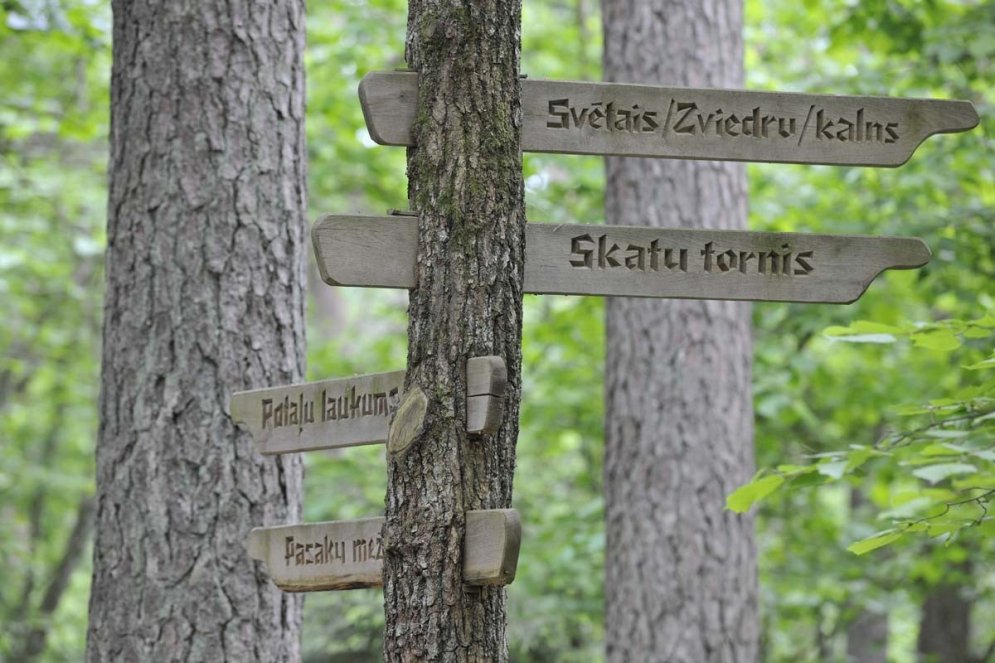 Pastaigas cauri koku galotnēm jeb sešas vietas, kas jāapmeklē Eiropā