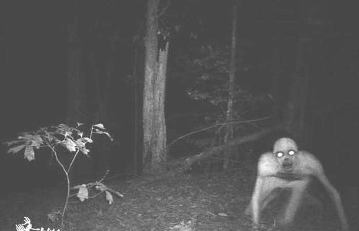 Šaušalīgi kadri, kas medību laikā uzņemti ar nakts kameru