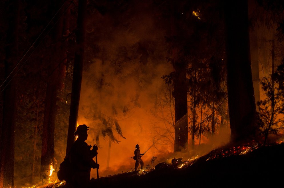 Адское пламя: 11 ужасающе прекрасных фотографий лесных пожаров
