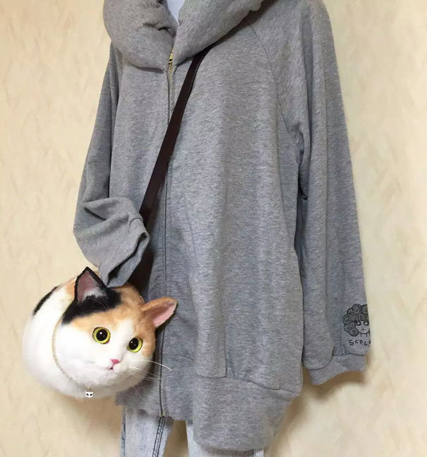 Мило или ужасно? Безумные японцы придумали носить котов вместо сумок