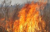 'Nevainīga' zaru dedzināšana Korģenē teju noslēdzas ar meža ugunsgrēku