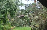 Vētra  Rīgā un Salaspilī sagāzusi pulku koku