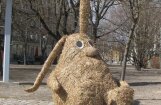 Jelgavā sadedzina no salmiem darināto Lieldienu zaķi