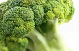 Video: Uzņēmīgs saimnieks Latgalē sāk audzēt brokoļus