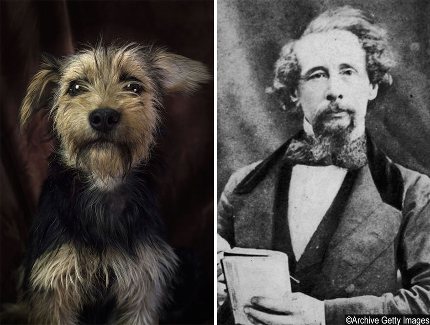 Литературненький гав-гав: Собаки из приюта в образе великих писателей