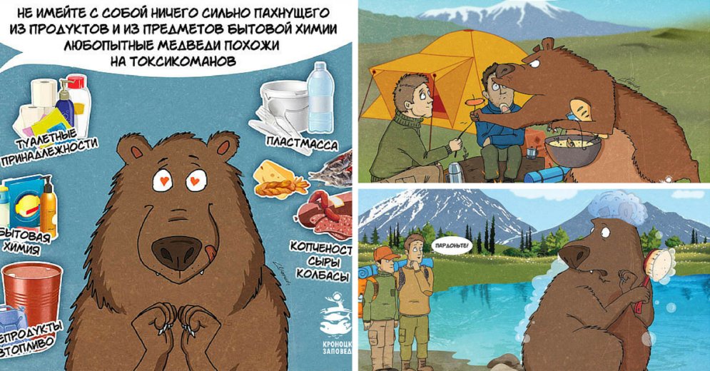 Ну, а вдруг? Эти смешные комиксы расскажут вам, что делать, если вы встретили медведя-токсикомана
