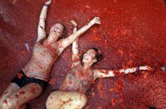 Кроваво-красный фестиваль страданий, или Как за час уничтожить 40 тонн томатов
