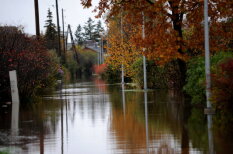 Осеннее наводнение в Латвии? Во-первых, это красиво…