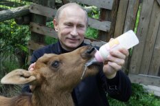 Putinam – 63: kā viņš izskatās kopā ar dažādiem zvēriem