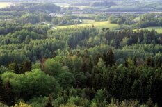 Pieci mīti par Latvijas meža nozari