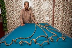 Vīrietis 63 gadu laikā izaudzējis 9 metrus garus nagus