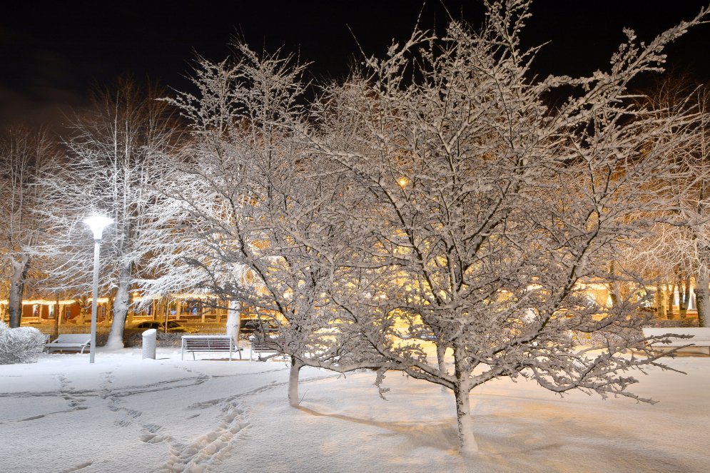 В Латвию пришла зима — смотри, какая красота!