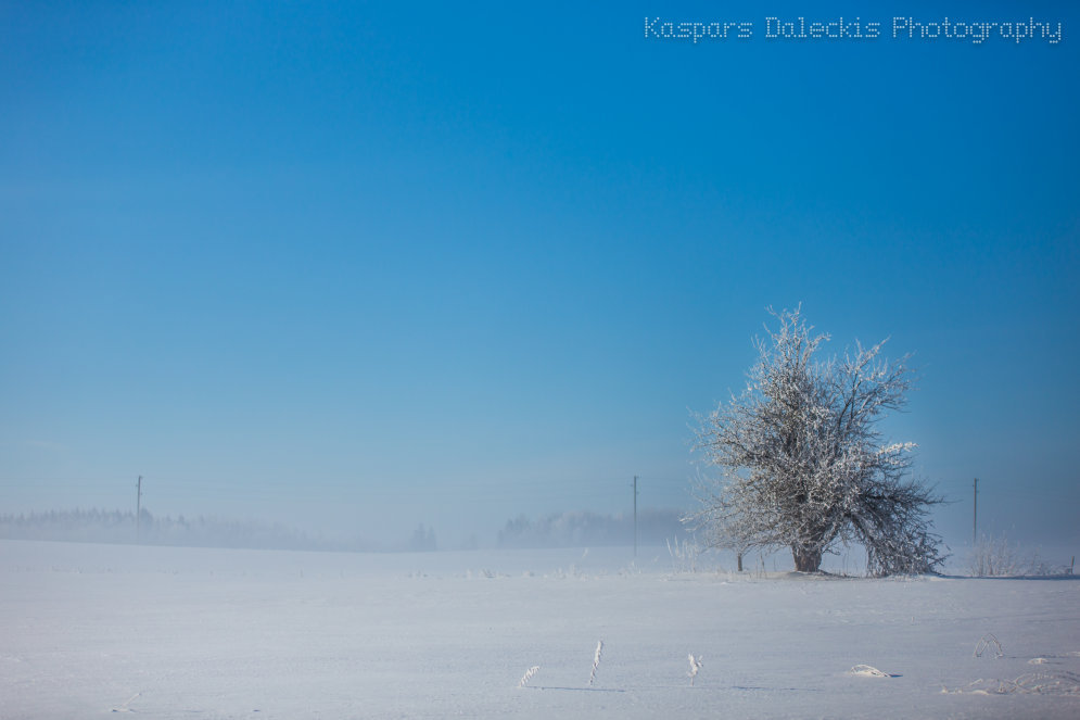 Латвийская зима, которой в этом году мы не видели