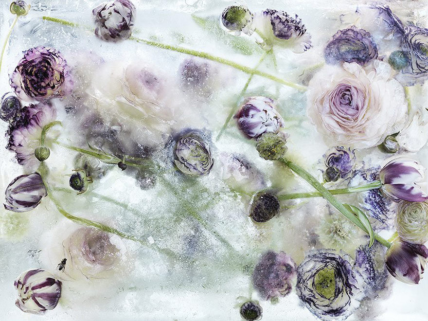 Japāņu fotogrāfe mākslas vārdā saldē puķes