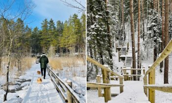 Mazirbes lielais pārsteigums – Pēterezera dabas taka