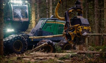 Foto stāsts: kā ar jaudīgu tehniku tiek veikta mežizstrāde