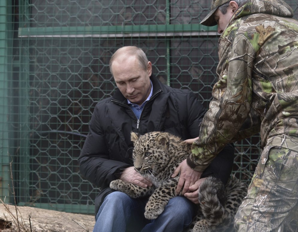 Путин сфотографировался с котиком на руках (+16 зверей, которым также повезло)