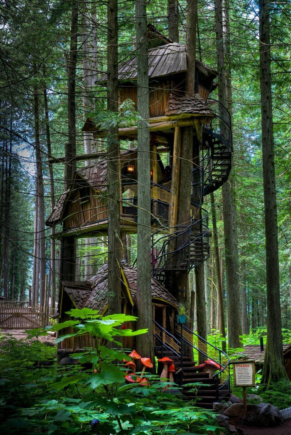 Pieci elpu aizraujošākie koka namiņi pasaulē