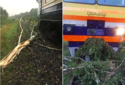 ВИДЕО: упавшее дерево остановило поезд из Зилупе