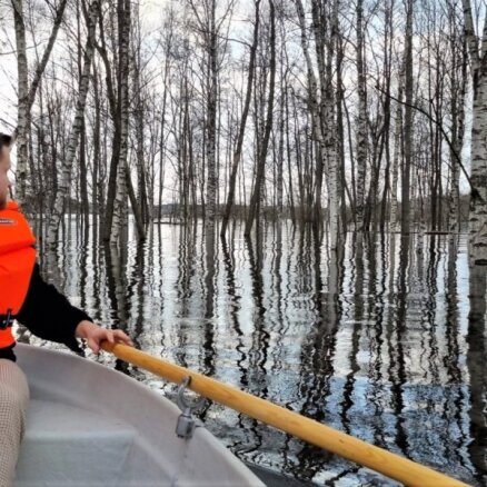 ФОТО, ВИДЕО. Прогулка на лодке среди берез на затопленных лугах поймы Двиете