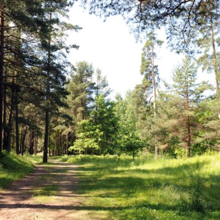 'Stiga RM' par 4,06 miljoniem eiro iegādājusies 505 hektārus meža Latvijā