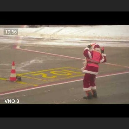 ВИДЕО. На территории Вильнюсского аэропорта появился неожиданный гость