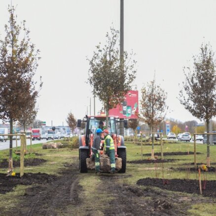 Foto: Krasta ielā Rīgā iestāda 120 kokus un 2433 krūmus