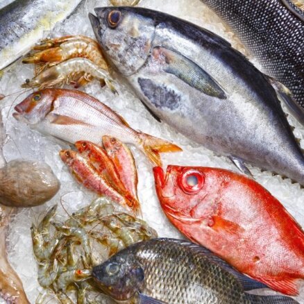 Kad recepte pieprasa balto zivi: ceļvedis zivju pasaulē, lai izvēlētos īsto un vienīgo