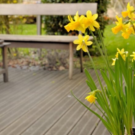 Pavasaris sākas uz terases; ar ko sākt, lai labiekārtotu?