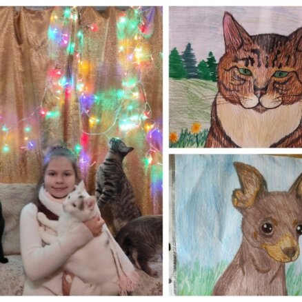 12 gadus vecā Dana var uzzīmēt tavu mājdzīvnieku, lai palīdzētu ielas kaķiem