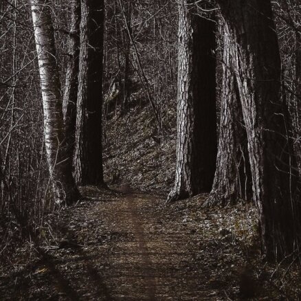 'Delfi' lasītāja foto: Spokaina taciņa Juglas mežā