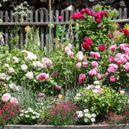 Desmit skaistu dārzu idejas, no kurām iedvesmoties sava veidošanā