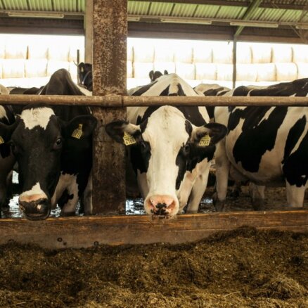 Piena nozare ir apdraudēta, nekavējoties jāsamazina PVN, uzskata LOSP