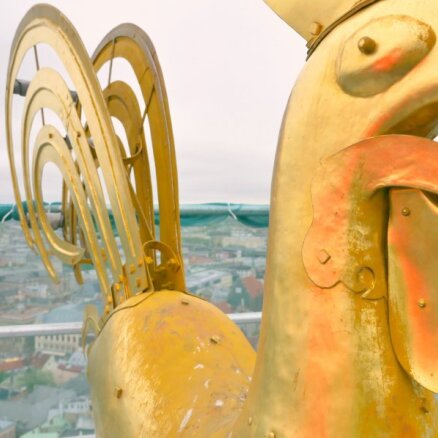 ВИДЕО: Как выглядит Рига глазами главного петушка столицы