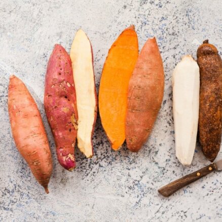 Kartupelis, kas atgādina ķirbi – svarīgākais par saldajiem kartupeļiem
