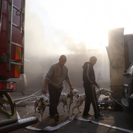 Пожар в Рижском цирке потушен; погиб один из питонов