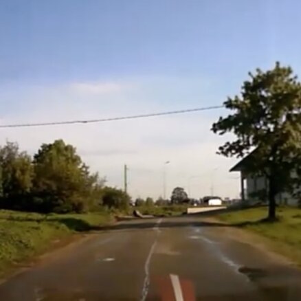 Video: Autovadītājus Dreiliņu aplī pārsteidz divi aļņi
