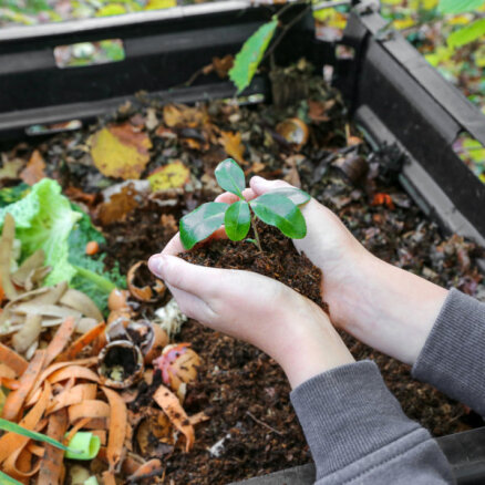 Dārznieku 'melnais zelts': vadlīnijas komposta izveidei privātmājās un dzīvokļos