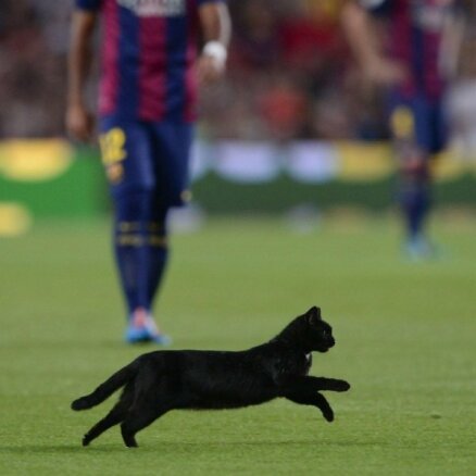 Video: Melns kaķis aptur Spānijas futbola čempionāta spēli