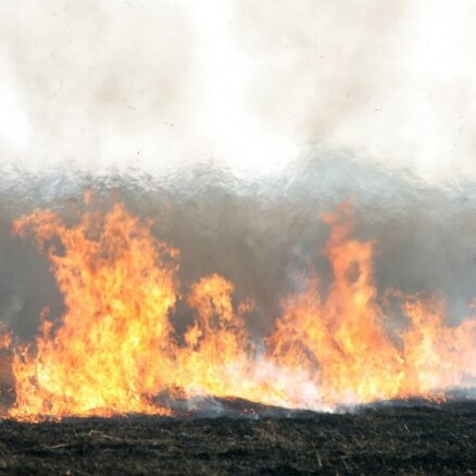 Latvijā šogad reģistrēti 595 kūlas ugunsgrēki
