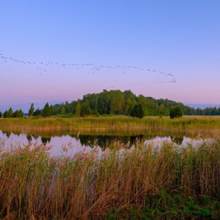 Izvēlies kādu no pastaigu maršrutiem Latvijā un svētku brīvdienās meties piedzīvojumā dabā
