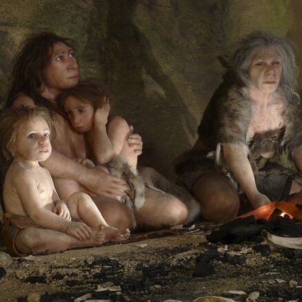 Генетики определили, что сгубило неандертальцев