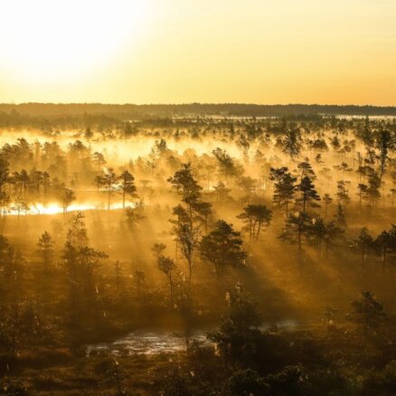 Foto: Fantastiski skati miglas rītā ar Lielo Ķemeru tīreli dzintara nokrāsās