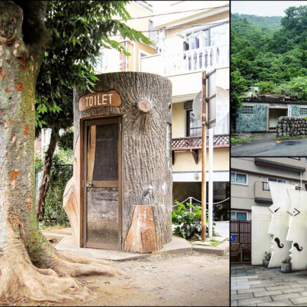 Архитектура по нужде: самые оригинальные здания общественных туалетов в Японии (ФОТО)