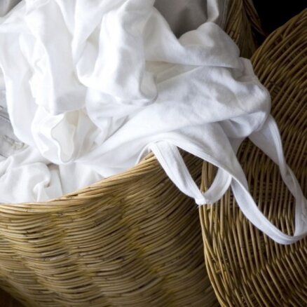Sasmakusi un saburzīta pat pēc mazgāšanas: kā pareizi grozā glabāt netīro veļu