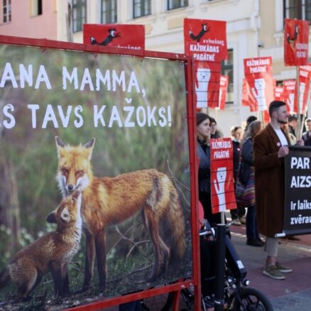 Foto: Dzīvnieku aizstāvji mudina Saeimu aizliegt kažokzvēru audzēšanu