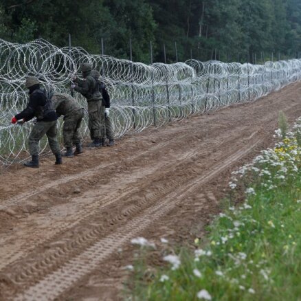 Бюро внутренней безопасности не констатировало возможное насилие в отношении мигрантов на границе с Беларусью