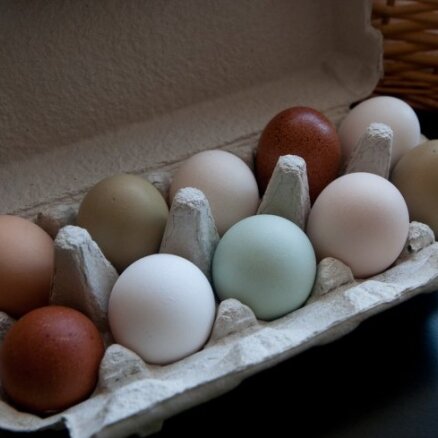 Газета: в Латвии может возникнуть дефицит белых яиц